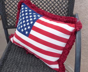 Quick Burst of Patriotism Pillows