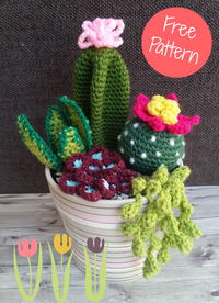 Free Cactus Pattern | AllFreeCrochet.com