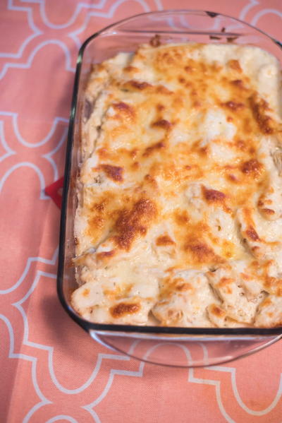 Easy Chicken Alfredo Lasagna