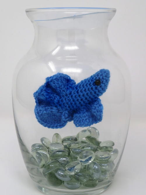 Betta Fish In A Jar