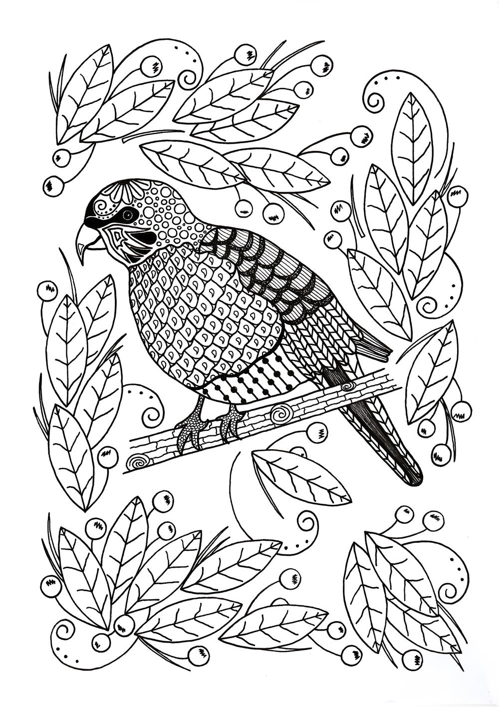 Ornamental Bird Adult Coloring Page | FaveCrafts.com