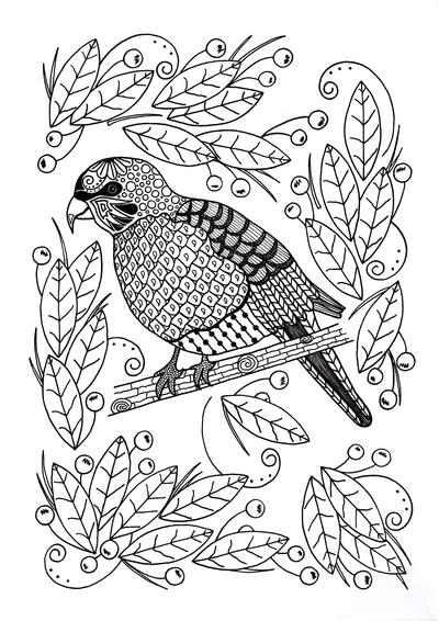 Ornamental Bird Adult Coloring Page