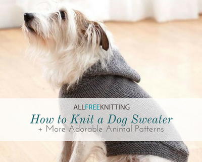 How to Knit a Dog Sweater  10 More Adorable Animal Patterns