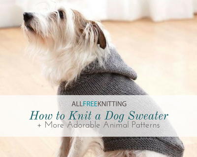 How To Knit A Dog Sweater 10 More Adorable Animal Patterns How To Knit A Dog Sweater 10 More Adorable Animal Patterns