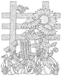 Sunflower Pumpkin Patch Coloring Page (PDF) | FaveCrafts.com