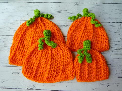 Pumpkin Patch Hat