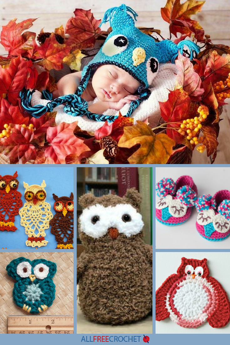 Sleepy Owl Coin Purse Crochet Pattern 