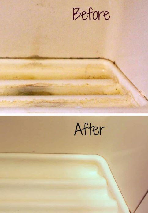 Clean Your Fridge's Water Tray