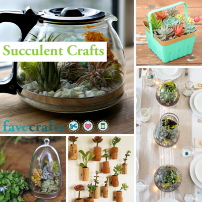 33 Succulent Crafts: Pretty Planters and Terrariums