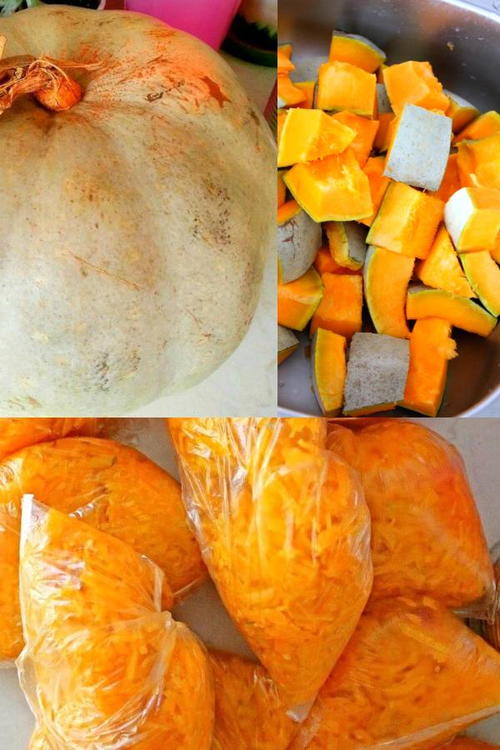 How to store Pumpkin Flesh