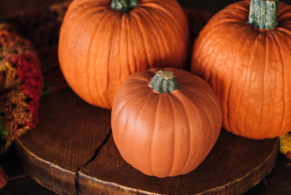 Visit a Pumpkin Patch