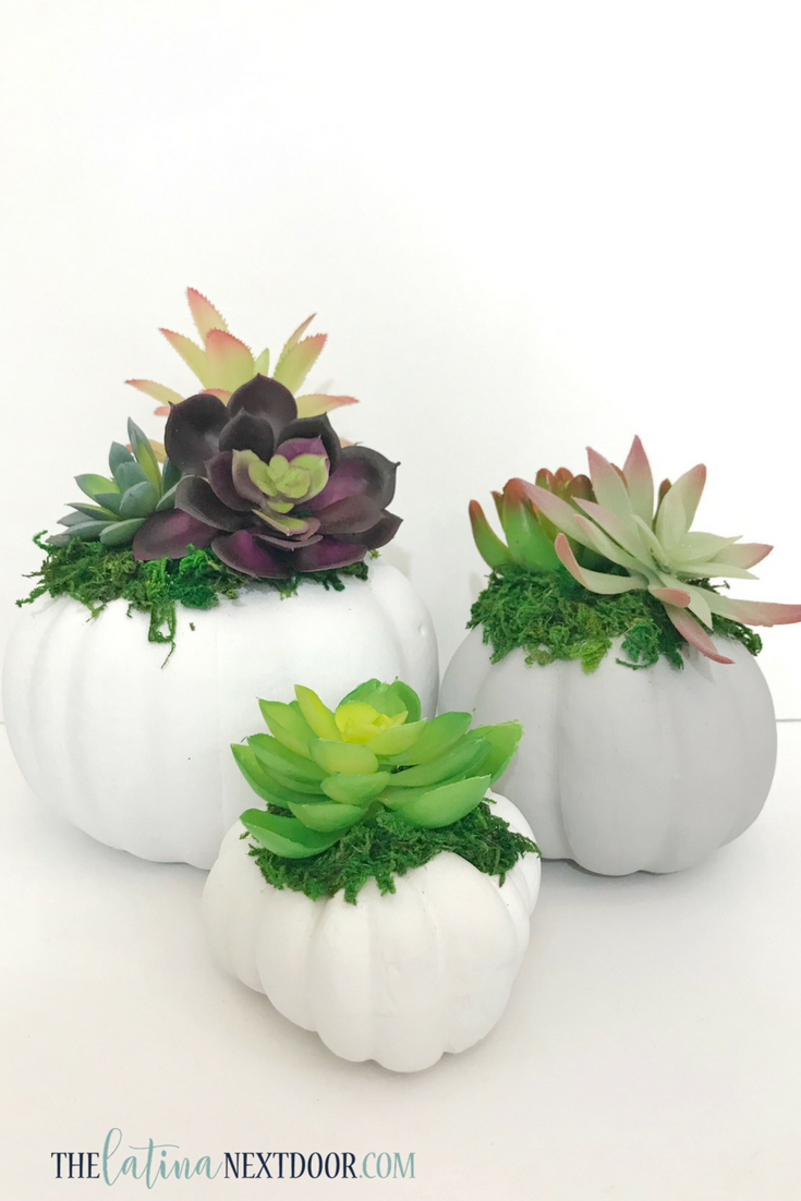 DIY Fall Succulent Pumpkin Planters | FaveCrafts.com