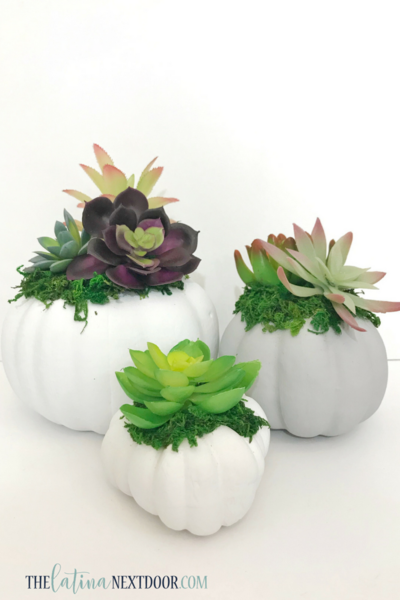 DIY Fall Succulent Pumpkin Planters