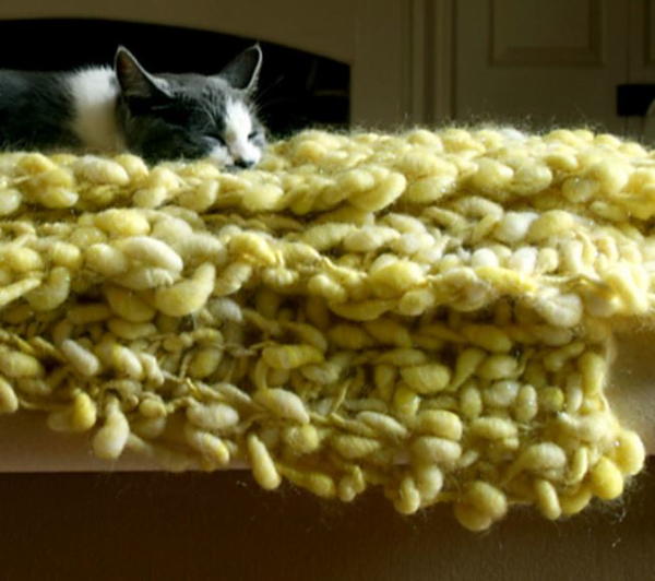 Making a small blanket for my cat, why does knitting take so much
