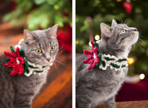 Holiday Cat Collar