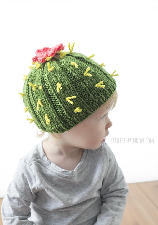 Cuddly Cactus Hat
