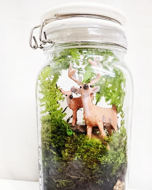 DIY Mason Jar Terrarium Tutorial