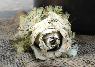 Beautiful Oreo Dipped Roses