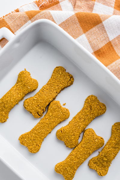 Paisleys Favorite Pumpkin Treats