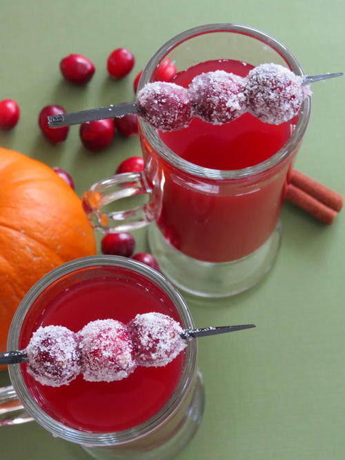 Slow Cooker Cranberry Apple Cider