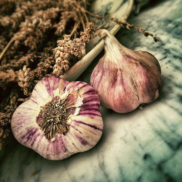 Does Garlic go Bad? (And How Can I Tell if it's Spoiled?) | RecipeLion.com