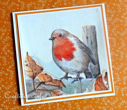 Autumn Robin Greeting Card