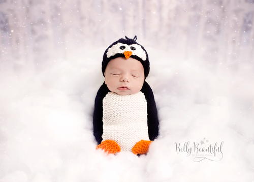 Poppy Penguin Knit Pattern