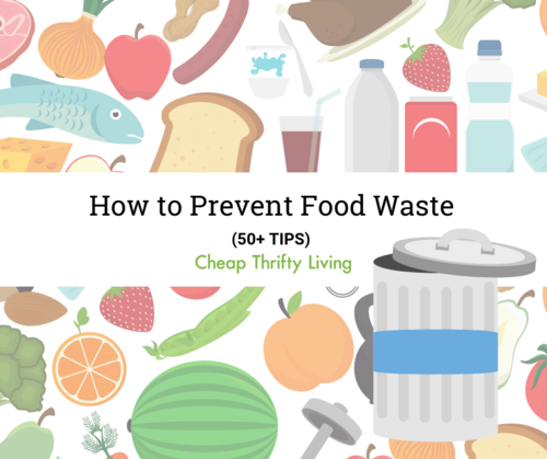 50+ Ways To Prevent Food Waste At Home | Cheapthriftyliving.com