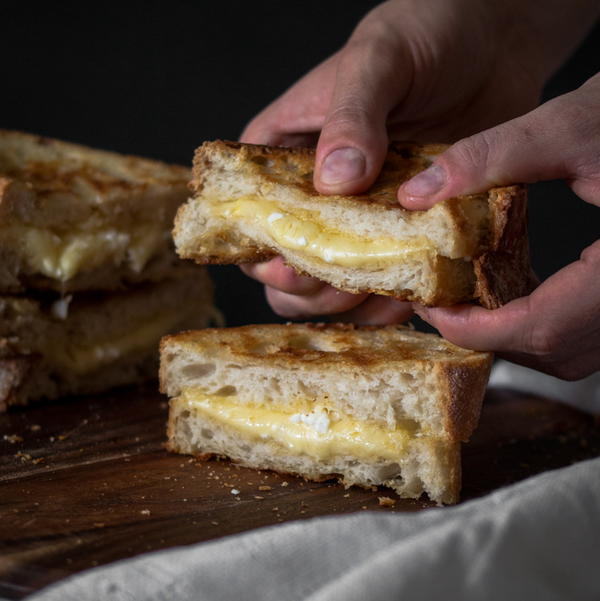 Gooey Grilled Cheese Sandwich