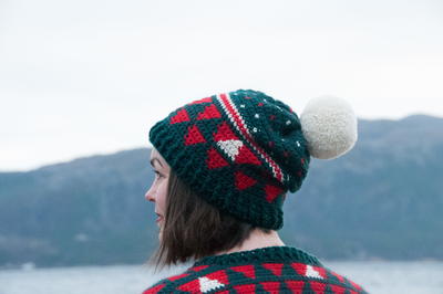 Crochet My Christmas Hat