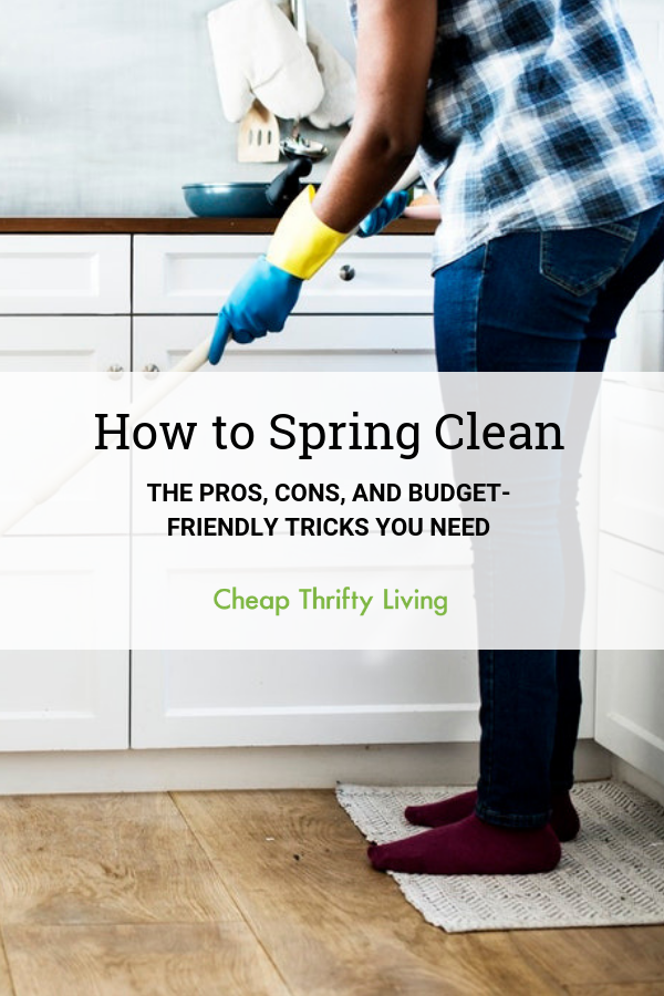 How to Spring Clean: The Pros, Cons, and Budget-Friendly Tricks You ...