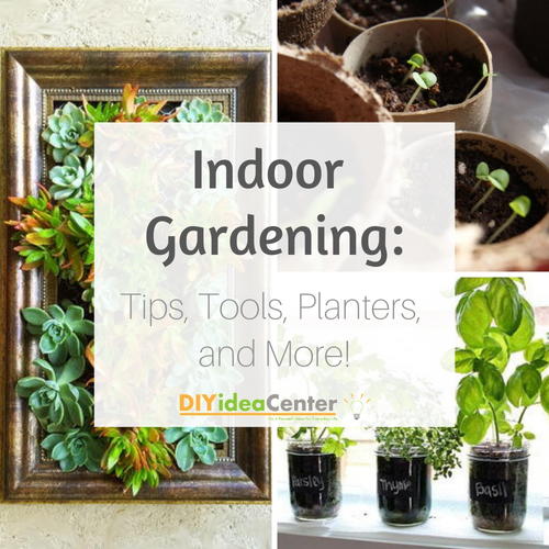Indoor Gardening 101