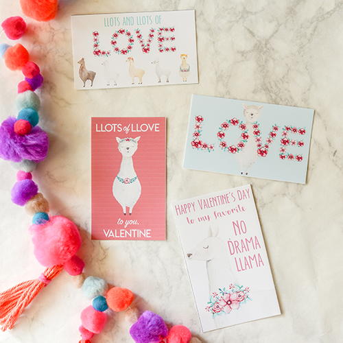 Llama Valentine Card