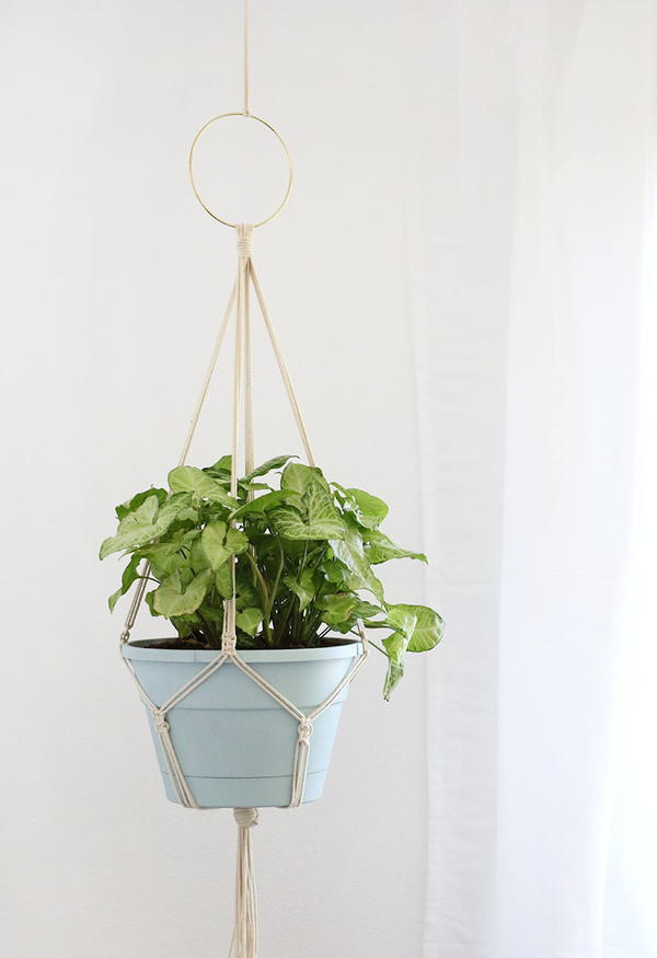 Simple DIY Macrame Plant Hanger