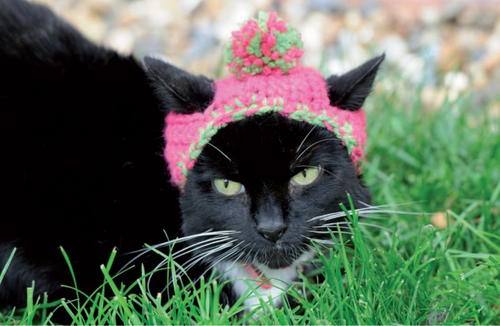 Fabulous Felines 16 Cat Clothing Patterns Favecrafts Com