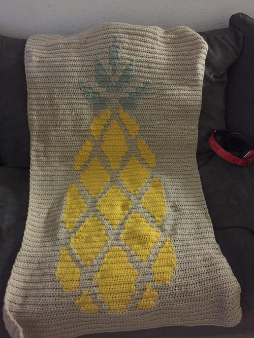 Pineapple Graphghan Blanket