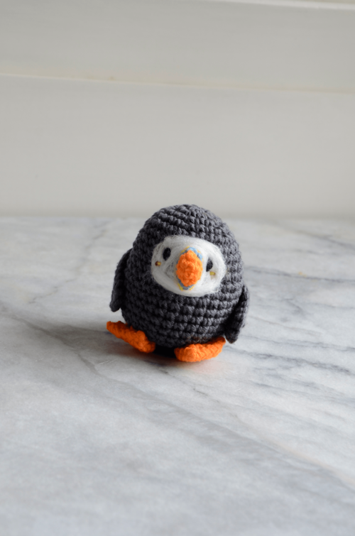 Pocket Sized Puffin