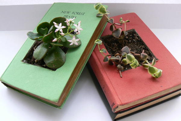 Vintage Books DIY Planter