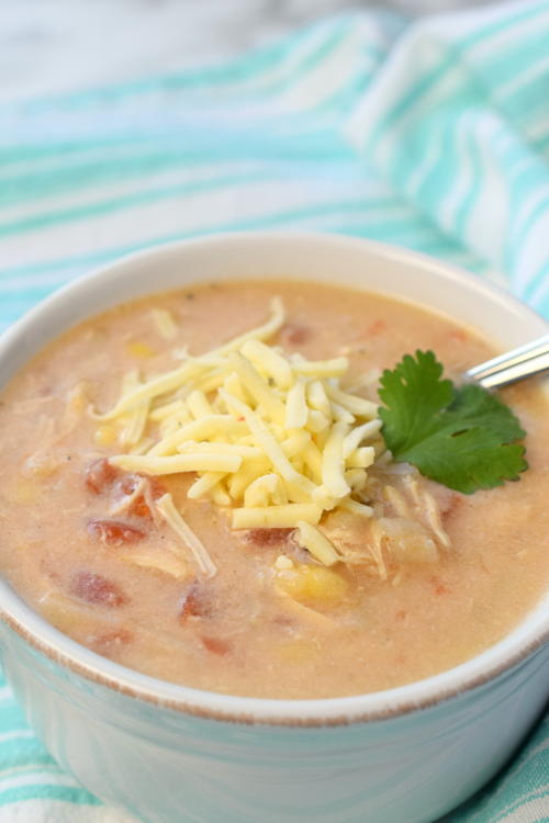 Slow Cooker Southwest Chicken Soup