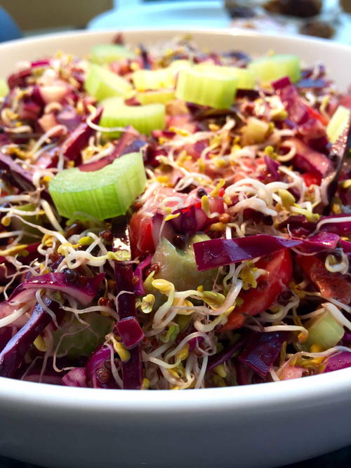 Broccoli Sprouts and Red Cabbage Salad