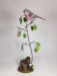 Carving a Common Redpoll - Part Two: Painting