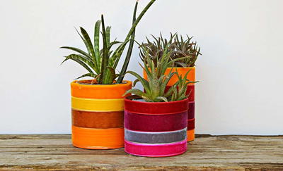 Upcycled Velvet Tin Can Planters