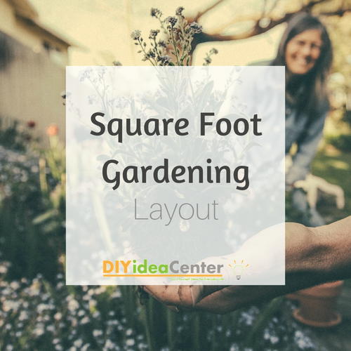 Square Foot Gardening Layout