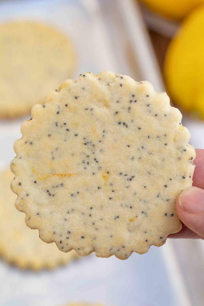 Lemon Poppy Seed Cookies 