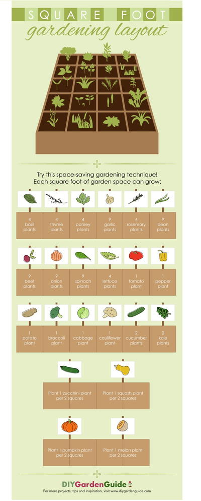 Square Foot Gardening Layout Diyideacenter Com