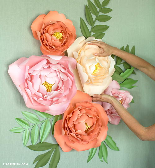 Paper Jumbo Peony BackDrop