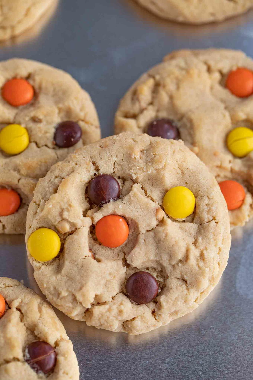 Alaska alaskan fillets Reese’s Cookies | TheBestDessertRecipes.com