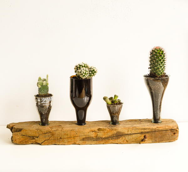 Creative Things to Do With Glass Bottles Upcycled Cacti Planter