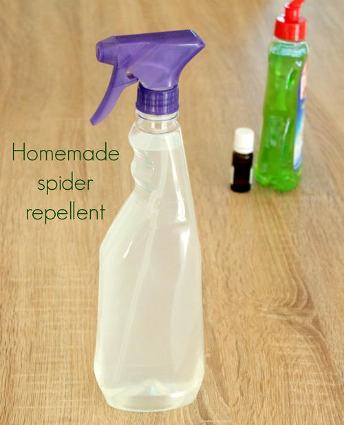 Spider Repellent DIY