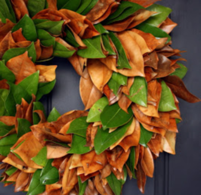 Real Magnolia Leaf Wreath